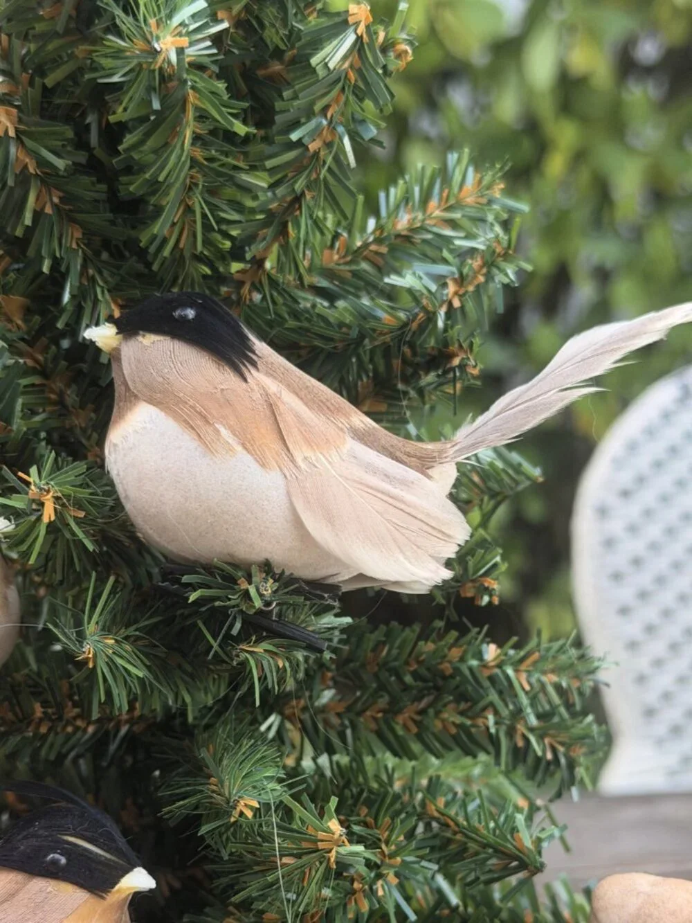 Lot of 5 Vintage Bird Clip On Christmas Tree Ornaments Woodland Cottage Decor